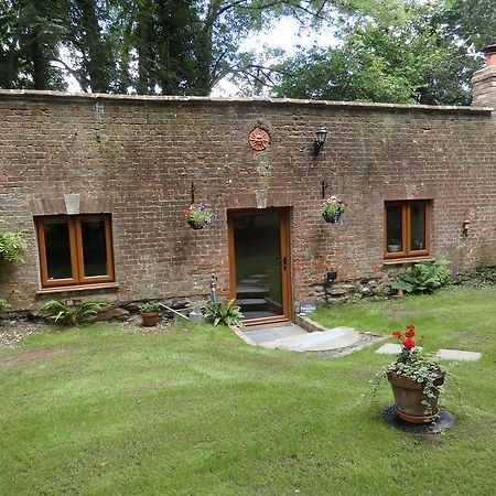The Potting Shed Apartment Little Torrington ภายนอก รูปภาพ