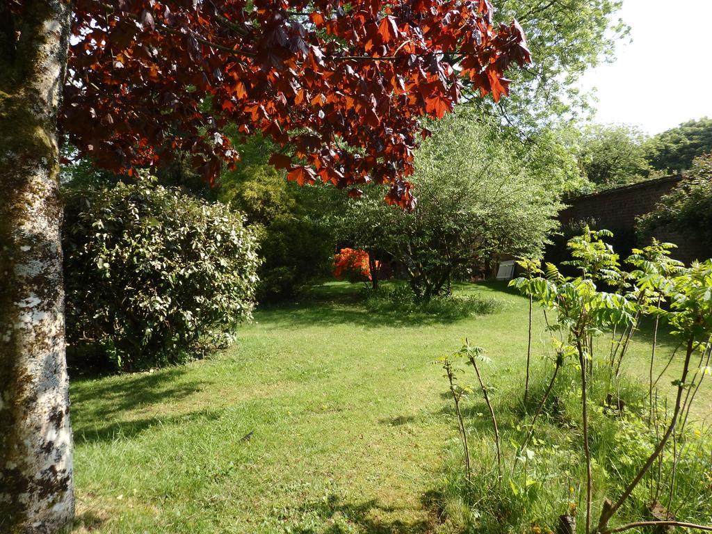 The Potting Shed Apartment Little Torrington ภายนอก รูปภาพ