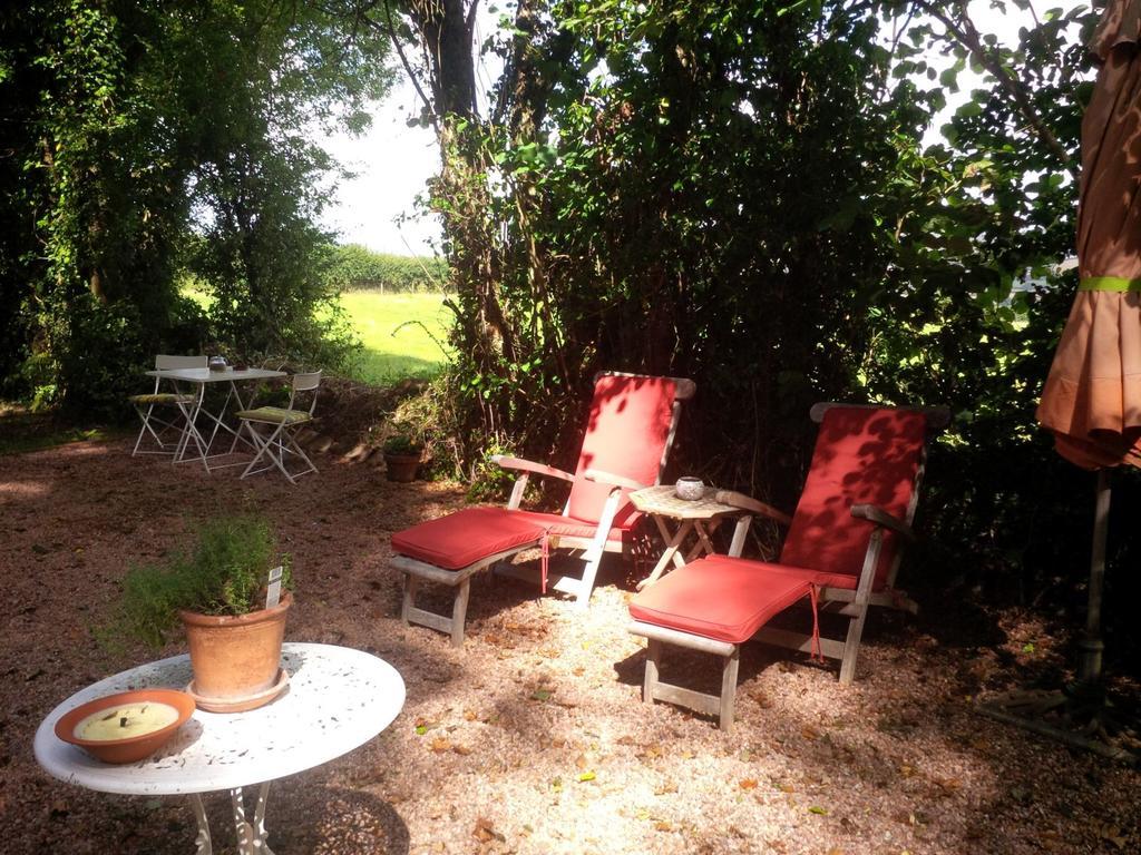 The Potting Shed Apartment Little Torrington ภายนอก รูปภาพ