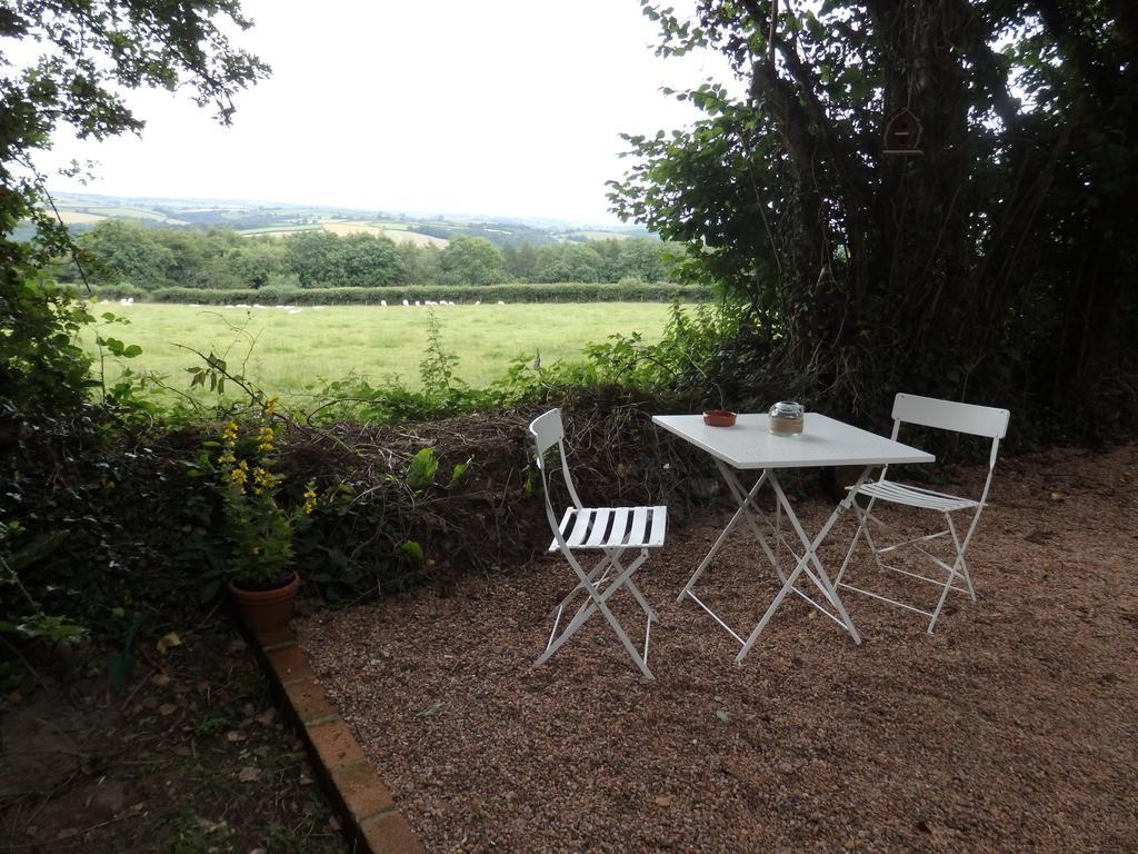 The Potting Shed Apartment Little Torrington ภายนอก รูปภาพ